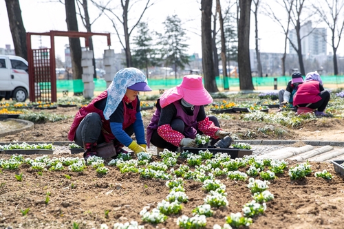 '예비군 훈련장' 증평 미루나무숲, 문화·예술 공간으로 변신