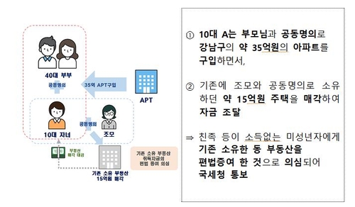 '10대가 35억 아파트 어떻게 샀을까' 조사대상 절반 탈세 의심