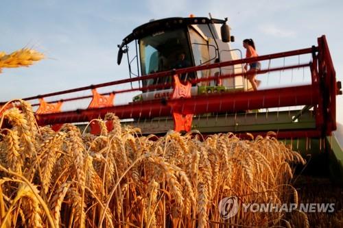 G20 "코로나19 위기로 식량공급망 교란되면 안돼"