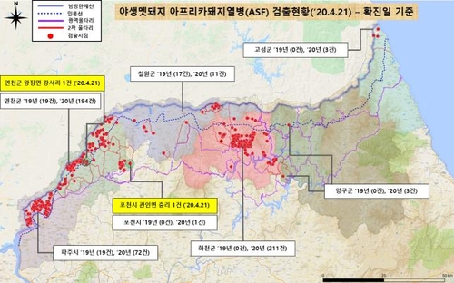 경기도 포천서 야생멧돼지 폐사체 ASF 첫 확진