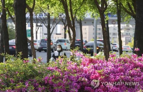 대구·경북 쌀쌀하고 건조한 날씨…"불조심 해야"