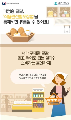 가정용 달걀 선별포장 유통 25일 본격시행…위반시 행정처분