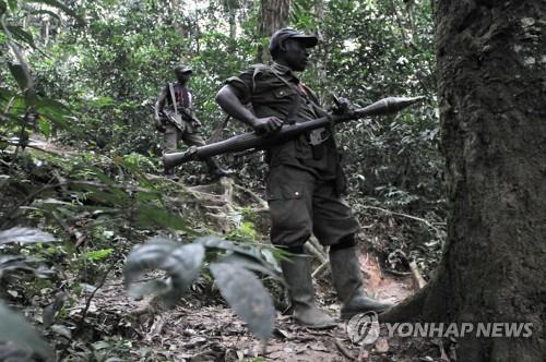 민주콩고 동부서 공원 경비대원 12명 등 16명 피살