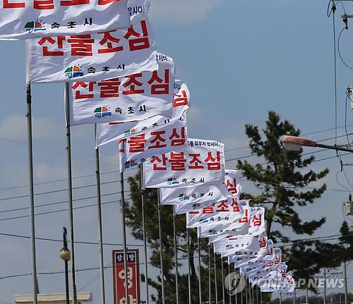 강원산지 태풍급 강풍…산불 초비상