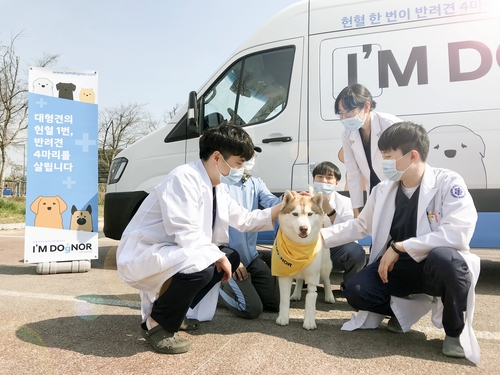 "공혈견의 아픔 아시나요" 현대차, 반려견 헌혈카 2차 캠페인