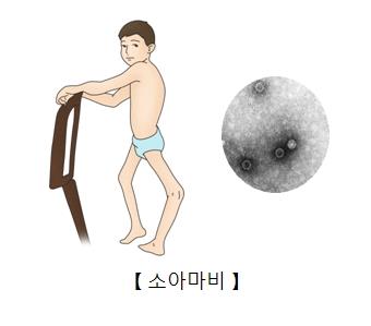 완벽한 새 소아마비 백신 개발