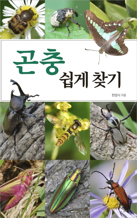 [신간] 주기율표를 읽는 시간