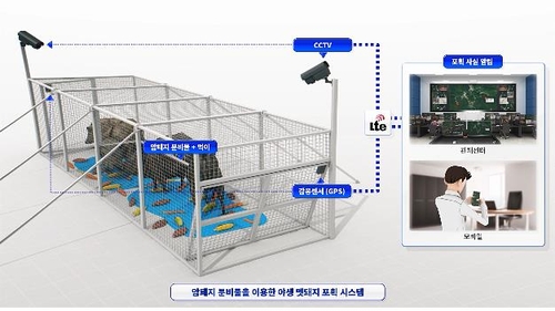 암컷 분비물로 야생멧돼지 유인…ICT로 돼지열병 막는다