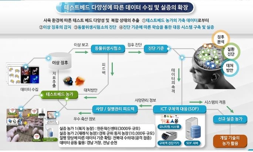 암컷 분비물로 야생멧돼지 유인…ICT로 돼지열병 막는다