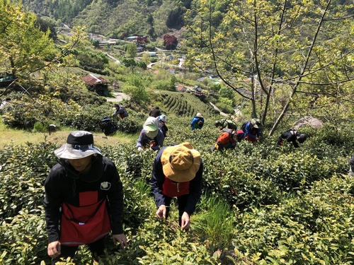 경남도, 코로나19 여파 인력 부족한 농촌 일손돕기 나선다