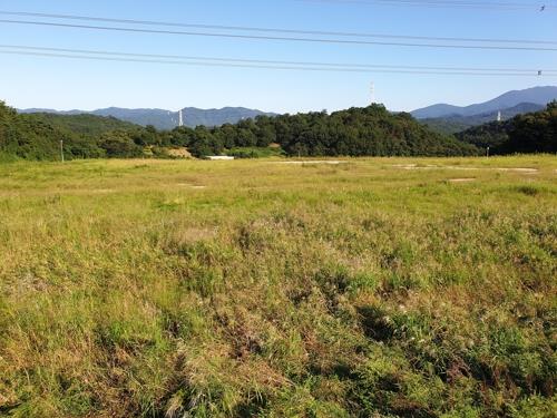 220억 광주 태양광 사업 소송만 4년…지방행정·사법 '민낯'