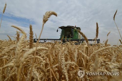 "사우디, 해외투자한 밀밭서 밀 확보…식량안보 강화"