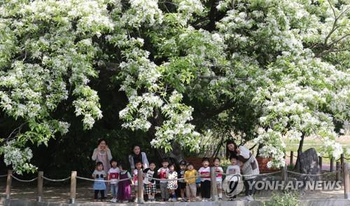 "도시공원 겨울철 미세먼지 저감효과↓…수종 선택 잘해야"