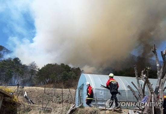 건조특보 내려진 강원 영월서 산불…헬기 3대 투입 진화 중