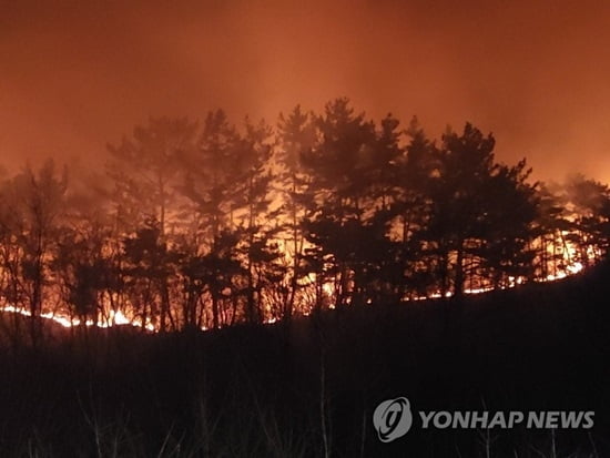 서산 산불 12시간 만에 진화…"인명피해 없어"