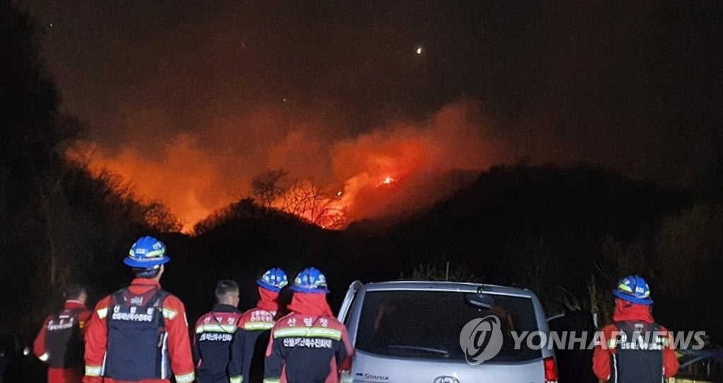 철원 국유림 산불 15시간 만에 잡혀...대피 주민 귀가