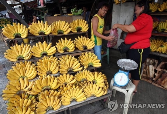 바나나 귀해지나…필리핀 봉쇄에 아시아공급 차질 우려