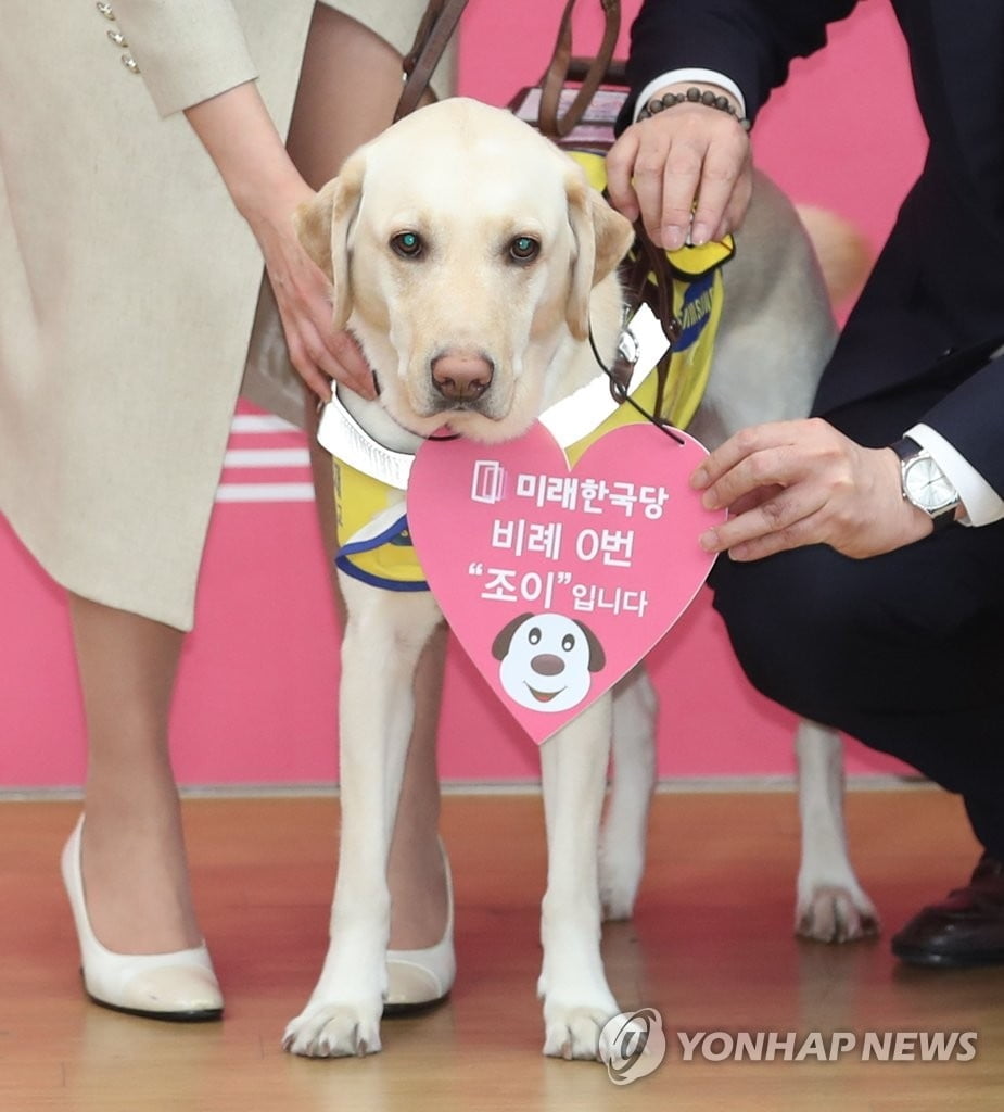 국회, 시각장애인 안내견 `조이` 출입 허용 결론