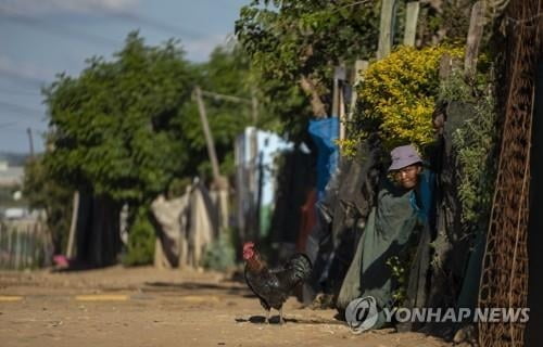 코로나 사태 예언?…4년전 소설 `열병`, 박쥐 전염 등 섬뜩할 정도로 유사