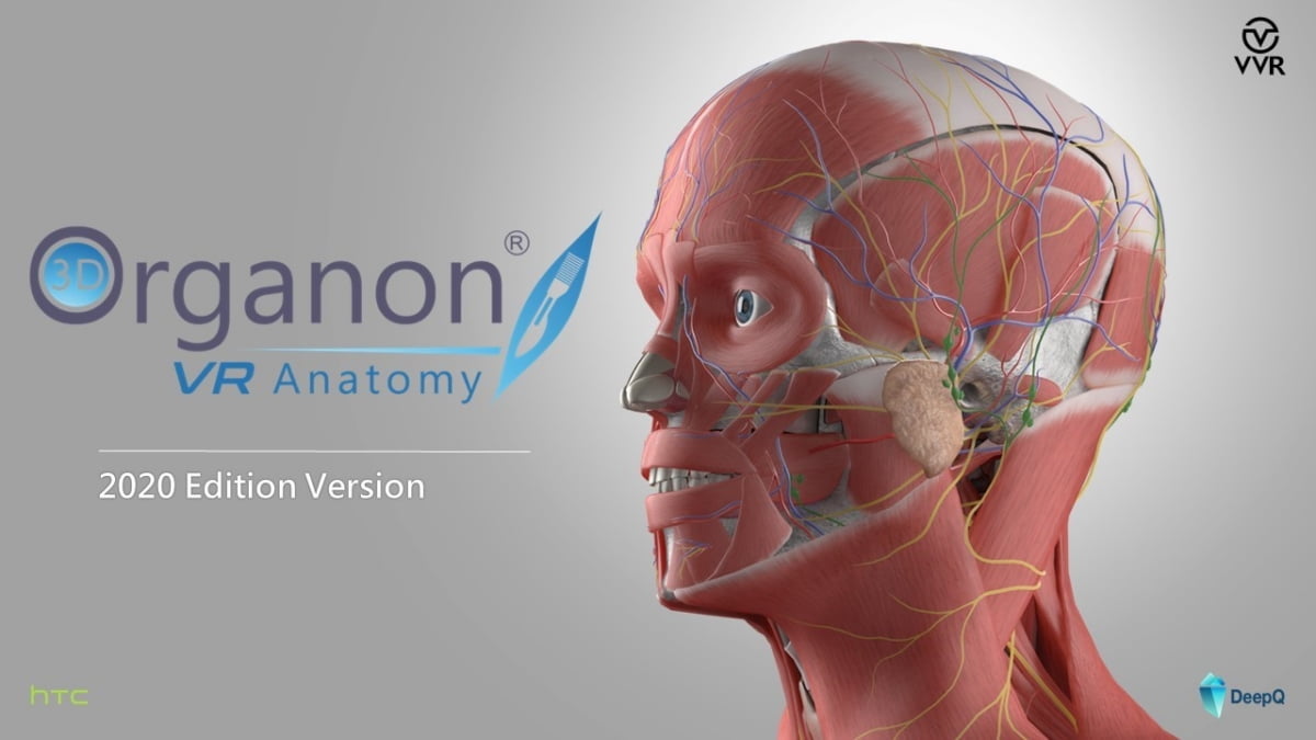 글로벌 인체 해부학 VR 리더 3D Organon, VVR과 공식 유통계약 체결