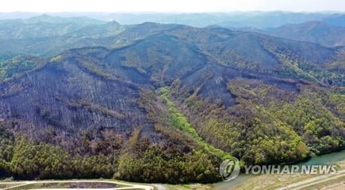 안동 산불 진화 감시하던 순찰 차량 전복돼 공무원 8명 부상