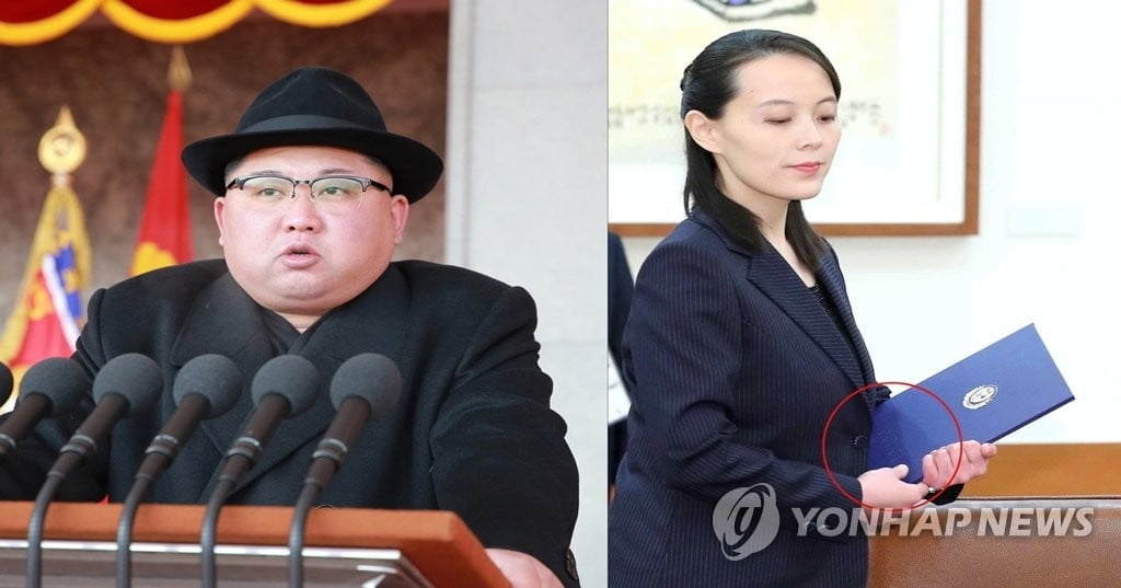 "김여정, 공식후계자 부여 가능성…김정은 복귀 후 절차 "