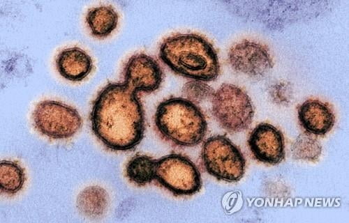 "코로나19 바이러스, 완치된 환자 폐 깊숙한 곳에서 발견"