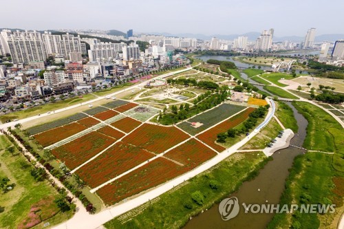 울산시 "대공원 장미축제·태화강국가정원 봄꽃축제 취소"