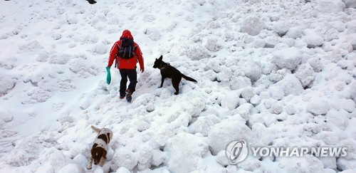 '네팔 안나푸르나 눈사태' 충남 봉사단 교사 실종에서 발견까지