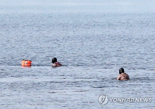 제주소방, 우뭇가사리 채취기간 해녀 조업중 안전사고 주의보