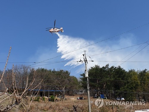 울산시, 4월 산불방지 특별경계 강화…특별대책본부 운영