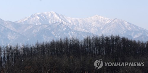 [강원산불 1년] "임시주택 너머로 꽃은 피는데…여전히 잔인한 4월"