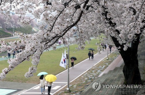 [내일날씨] 강원 영동·경상 동해안·제주도 등 곳곳에 비