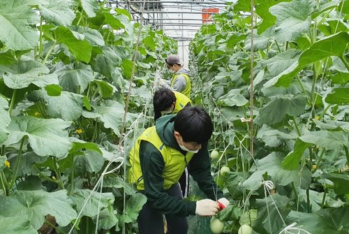 전남도, 각계 단체와 농번기 일손 돕기 적극 전개