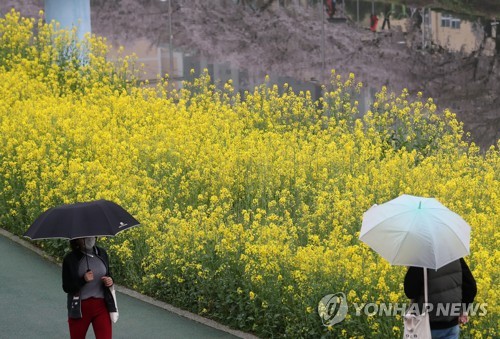 [날씨] 금요일 전국 흐리고 비…오후 돌풍·천둥에 우박도