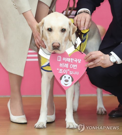 장애인에 문턱낮춘 21대 국회…본회의 방청석도 안내견 개방될듯(종합)