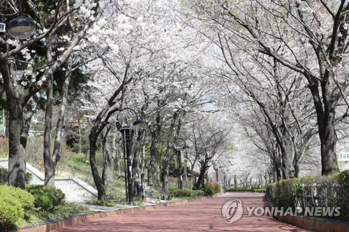 "하루벌어 하루쓰는데"…작년말 자영업 신용불량자 3만6천명