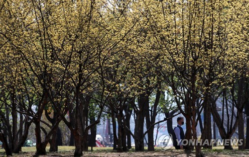 [날씨] 월요일 전국 맑고 포근…큰 일교차 주의