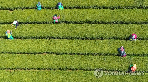 [내일날씨] 화요일도 일교차 큰 봄날씨…오후 강원영서에 비