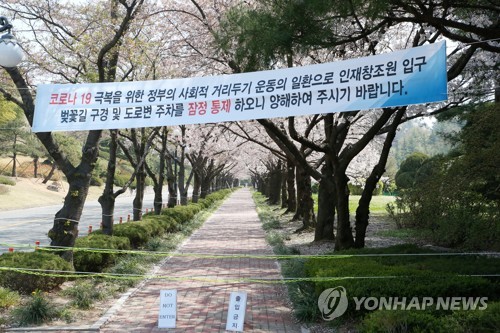 한적한 포항·경주 벚꽃 명소…코로나19로 곳곳 출입통제