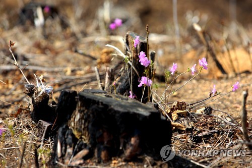 "산불 예방, 느낌 아니까∼"…개그맨들, 소방에 영상 기부