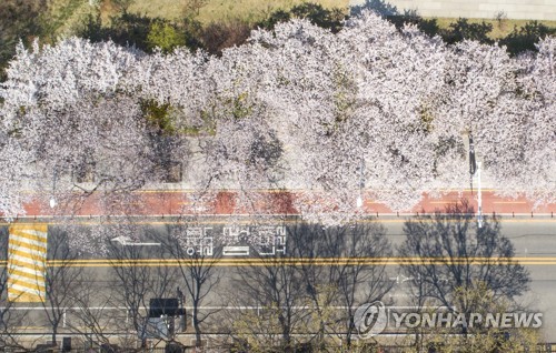 "꽃 피고 여름 와도 코로나19 기세 저절로는 안 꺾인다"