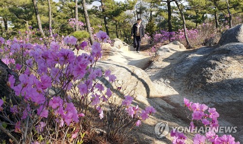 전북 맑고 포근…낮 17∼22도