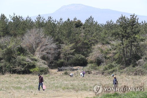 고사리 캐러 나갔다 실종된 70대 숨진 채 발견