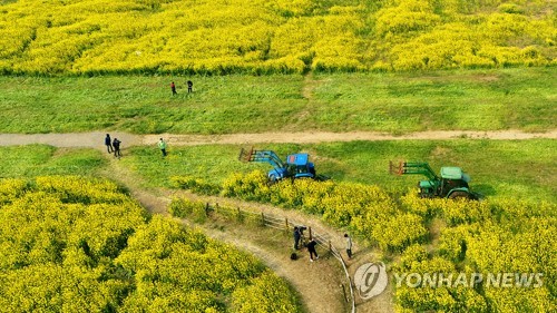 코로나19로 예술인도 경제적 피해…제주도, 일부 정산지원