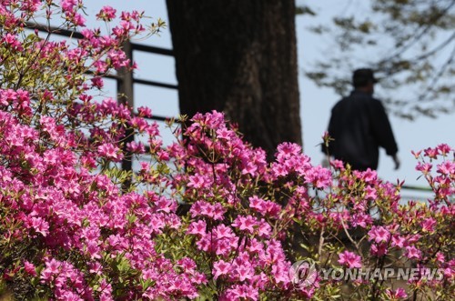 [내일날씨] 전국 맑고 따뜻해…미세먼지 '좋음'∼'보통'