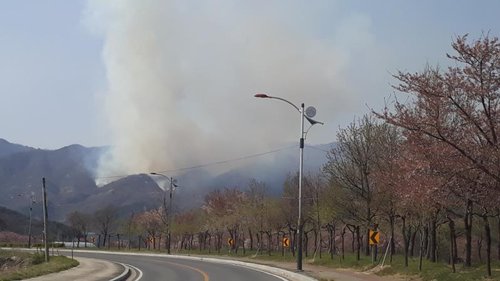 함양서 산불로 20㏊ '활활'…6시간 만에 불길 잡혀(종합)