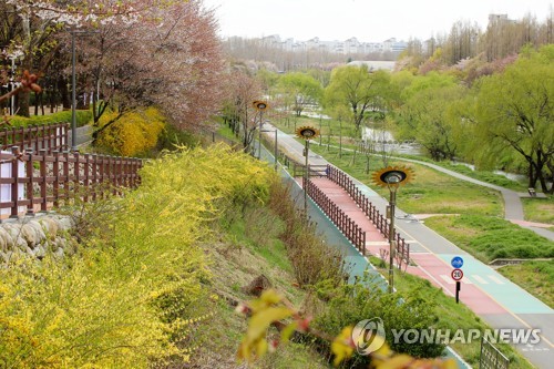 서울 양재천, 이번 주말은 '일방통행'…3주만에 개방