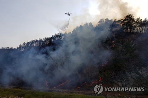 강원 평창 산불 1시간 40분 만에 진화…2천㎡ 소실(종합)