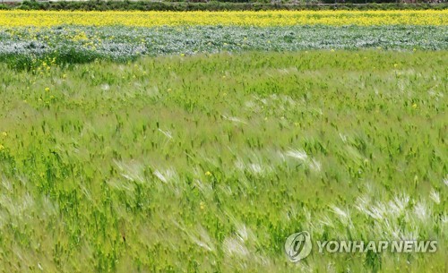 [내일날씨] 찬바람 불고 쌀쌀…경기동부·충북 빗방울